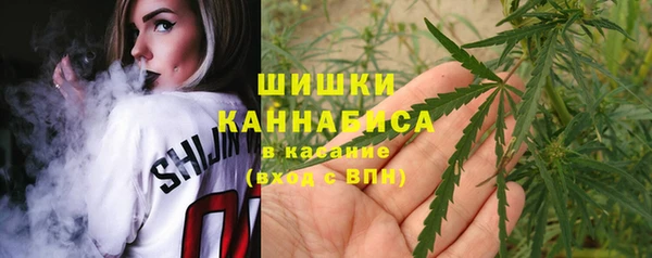 дурь Вяземский