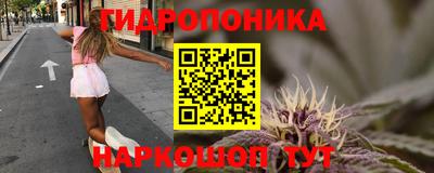 ПСИЛОЦИБИНОВЫЕ ГРИБЫ Бийск