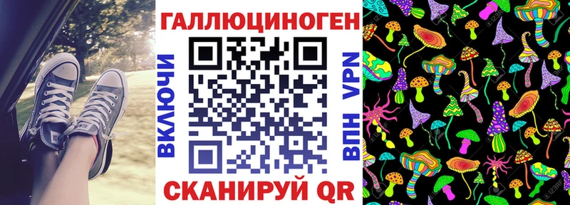 цена   Ковров  Галлюциногенные грибы GOLDEN TEACHER 
