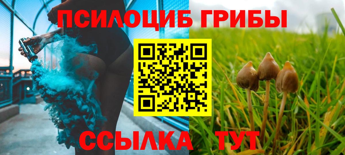 Ковров  Галлюциногенные грибы мухоморы  Вход с VPN 