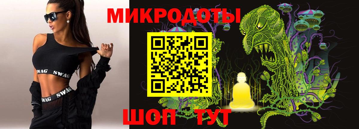 Псилоцибиновые грибы Psilocybe Ковров